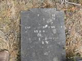 image of grave number 911710